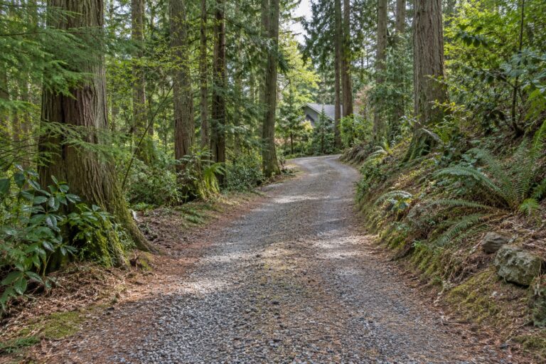 Gravel access lane through tall evergreen trees, with a modest house partly visible in the distance.