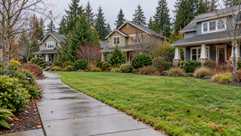 A damp shared sidewalk beside common lawn and three distinct Craftsman-style homes under conifer trees.