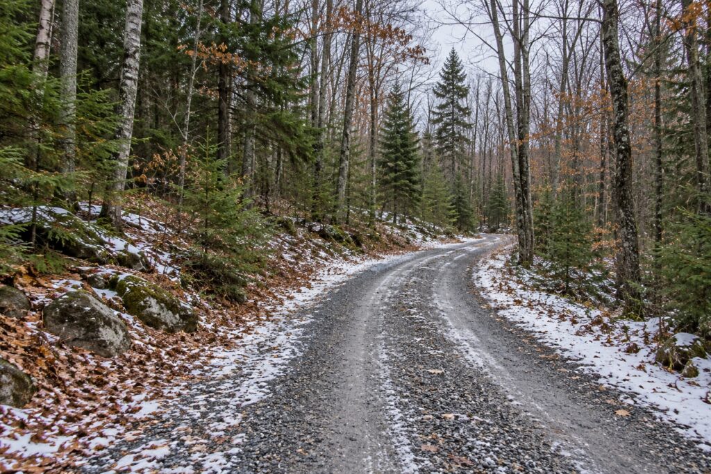 Illustration of a wooded gravel lane with patchy early snow along its edges.